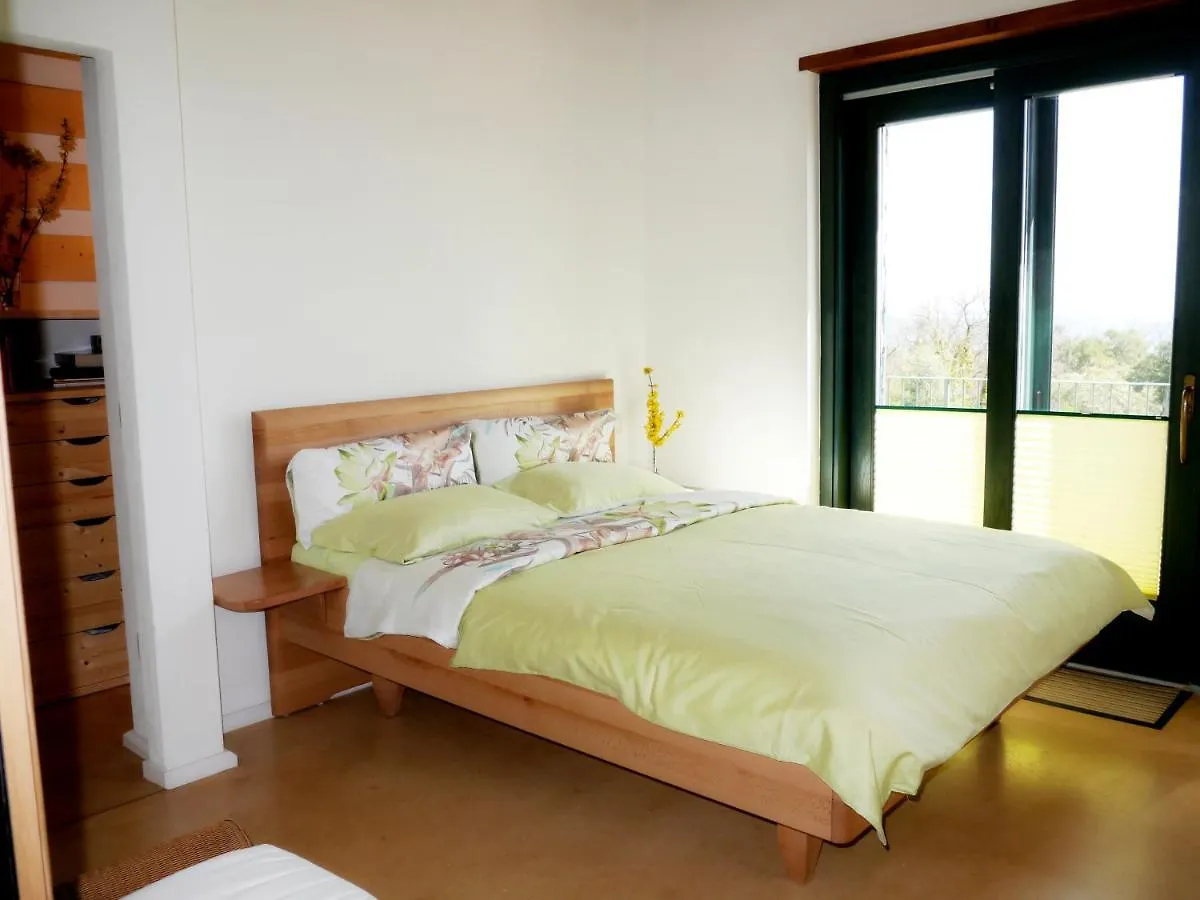 Villa Olivastra Roccastrada Holiday home