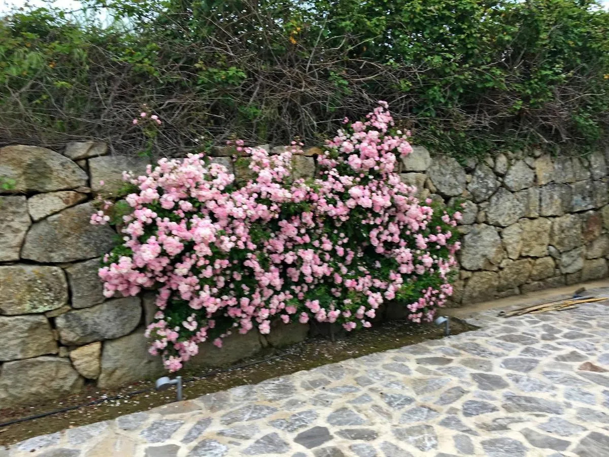 Villa Olivastra Roccastrada 0*,  Italy